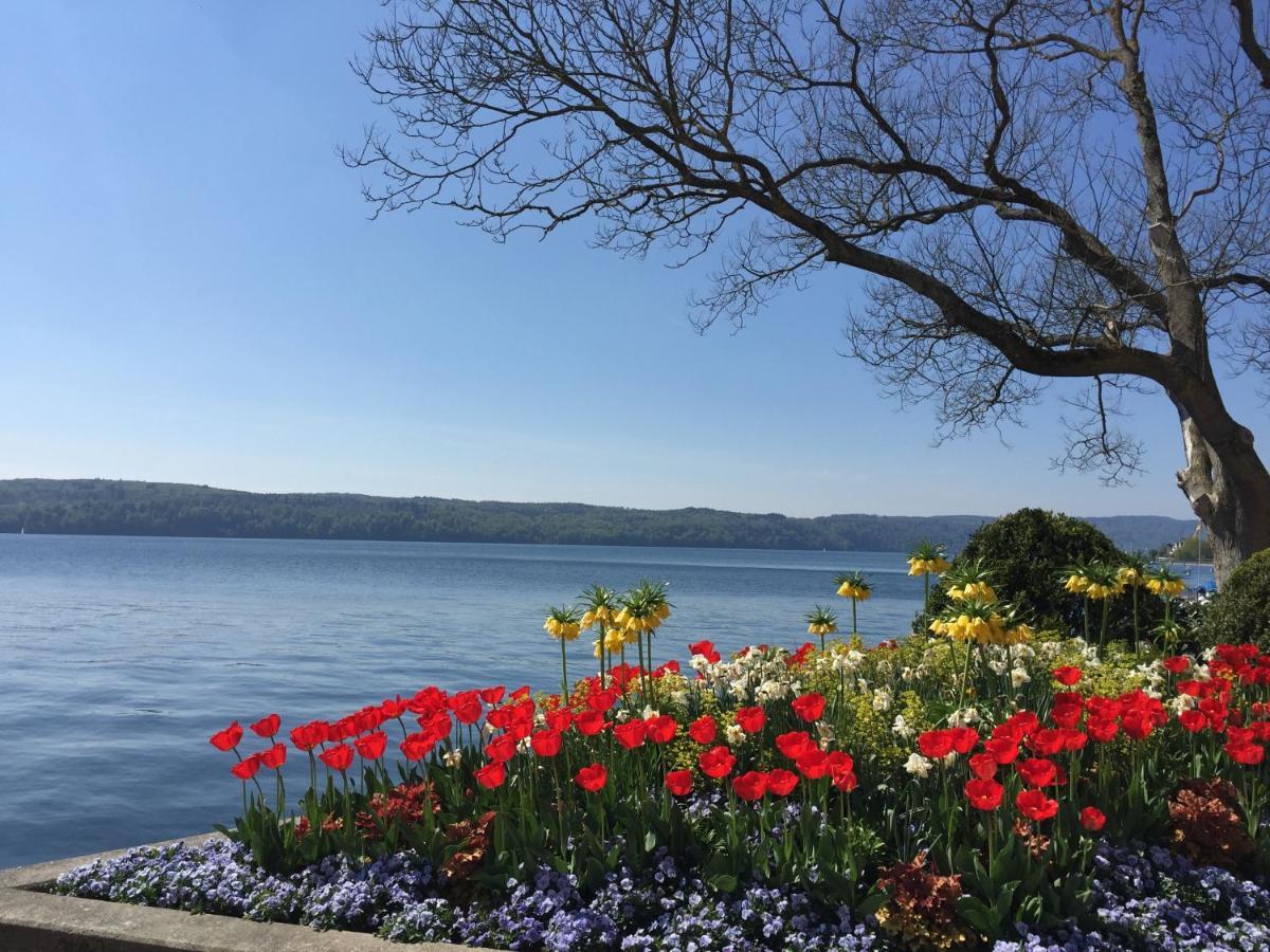 Pension Seliger Meersburg Buitenkant foto